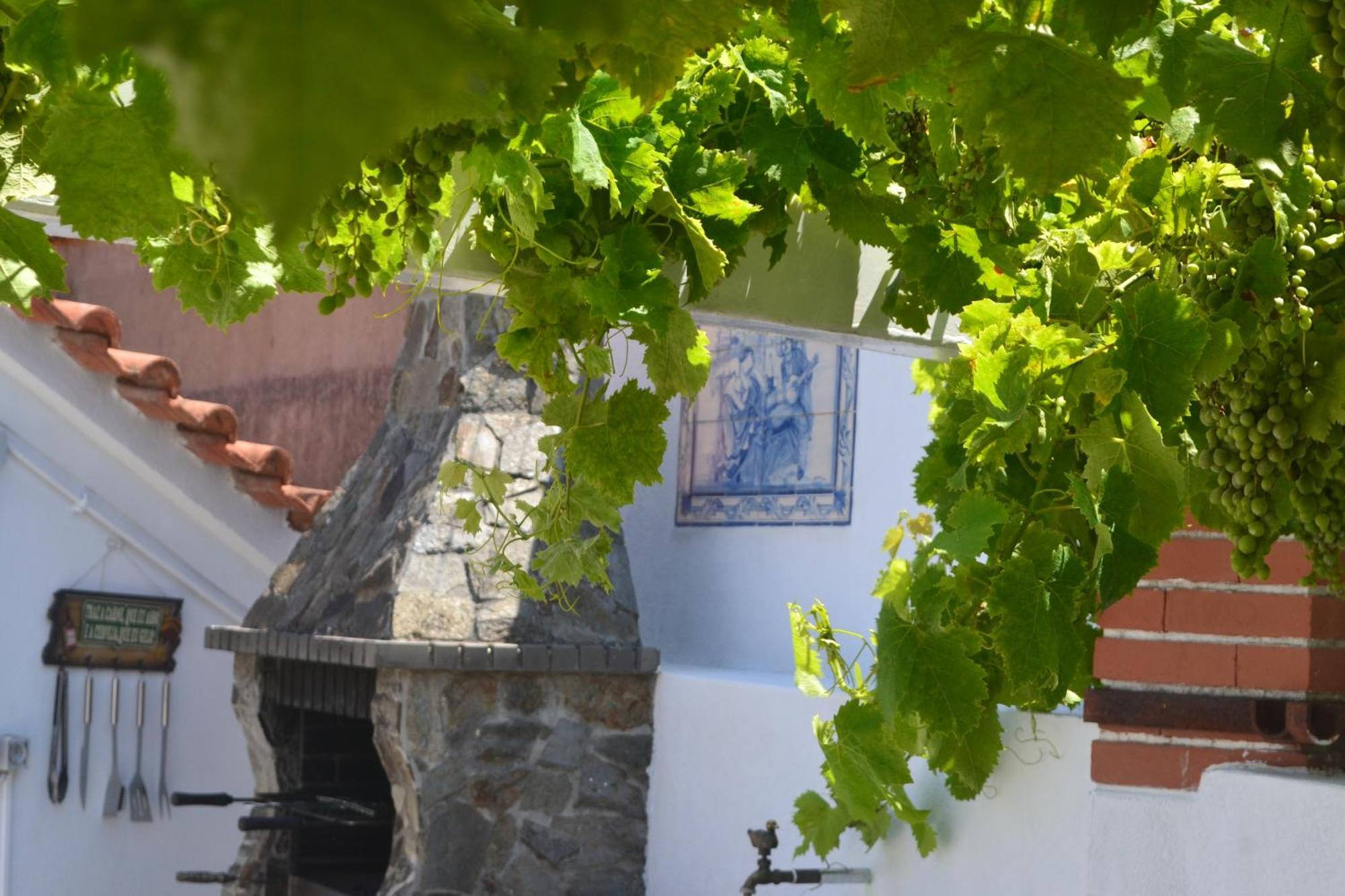 Rustic Chick Villa Belas